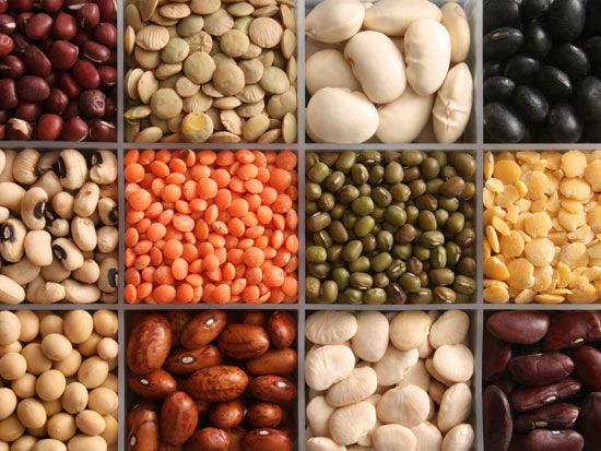 aliments brûle-graisses
