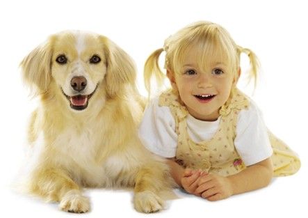 Des bactéries trouvées sur les chiens pourraient prévenir l’asthme