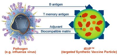 Un vaccin synthétique complexe basé sur des molécules d'ADN a été créé