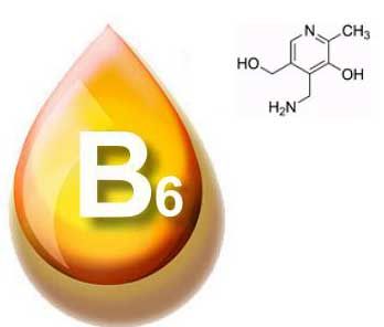Informations de base sur la vitamine B6