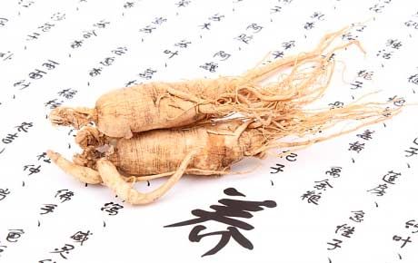 Le ginseng pendant la grossesse